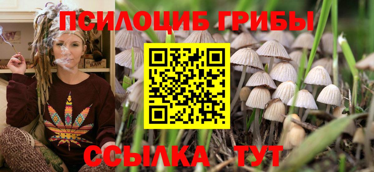 Псилоцибиновые грибы GOLDEN TEACHER Томск